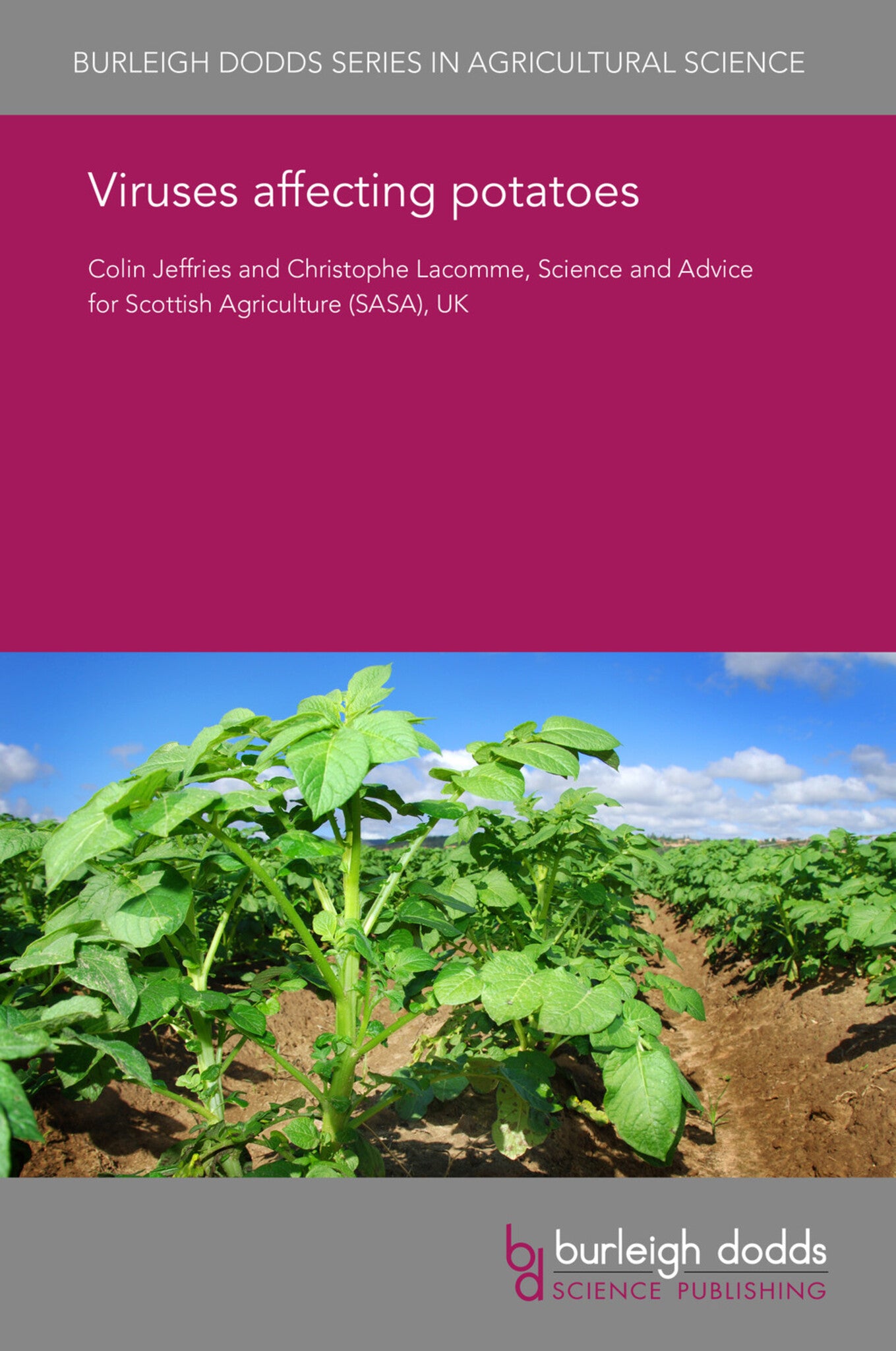 Cover image for Viruses affecting potatoes ISBN 9781786763853